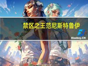 禁区之王范尼斯特鲁伊（禁区之门2）