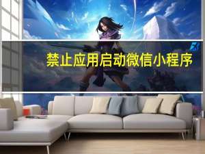 禁止应用启动微信小程序