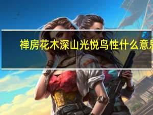 禅房花木深山光悦鸟性什么意思