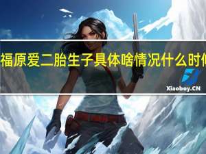 福原爱二胎生子 具体啥情况什么时候生的