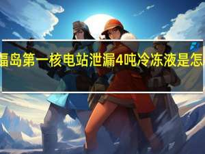 福岛第一核电站泄漏4吨冷冻液是怎么回事