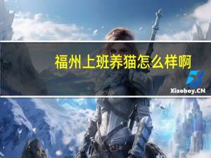 福州上班养猫怎么样啊