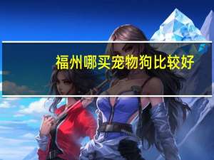 福州哪买宠物狗比较好