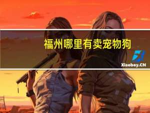 福州哪里有卖宠物狗