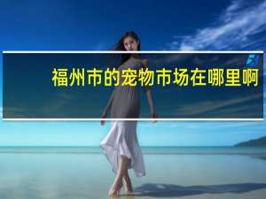 福州市的宠物市场在哪里啊
