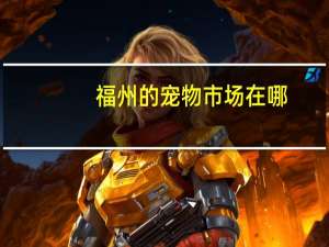 福州的宠物市场在哪
