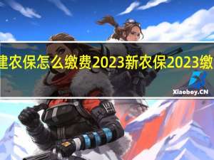 福建农保怎么缴费2023 新农保2023缴费价格表