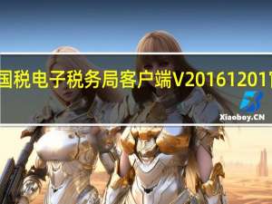 福建国税电子税务局客户端 V20161201 官方最新版（福建国税电子税务局客户端 V20161201 官方最新版功能简介）