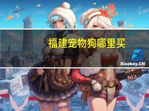 福建宠物狗哪里买