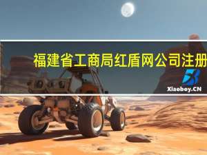 福建省工商局红盾网公司注册（福建省工商局红盾网年检）