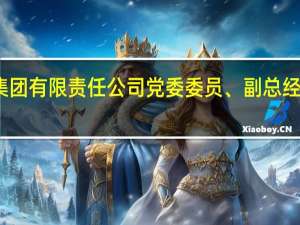 福建省旅游发展集团有限责任公司党委委员、副总经理刘学忠接受审查调查