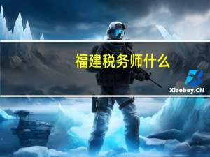 福建税务师什么