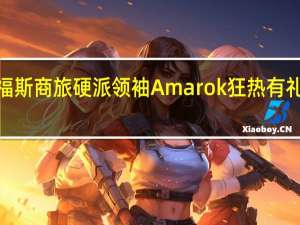 福斯商旅硬派领袖Amarok 狂热有礼3享受