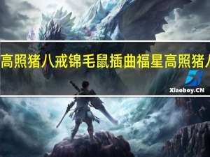 福星高照猪八戒锦毛鼠插曲 福星高照猪八戒主题曲