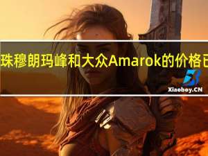 福特珠穆朗玛峰和大众Amarok的价格已大幅削减