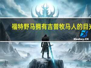 福特野马拥有吉普牧马人的目光