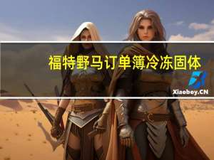 福特野马订单簿冷冻固体