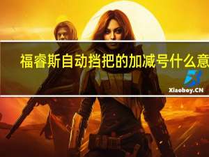 福睿斯自动挡把的加减号什么意思