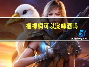 福禄桐可以浇啤酒吗