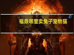 福鼎哪里卖兔子宠物猫
