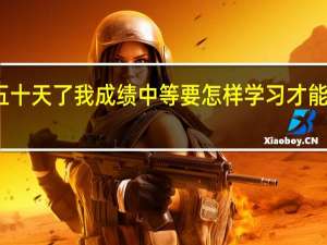 离中考就五十天了 我成绩中等 要怎样学习才能拔尖 我不怕吃苦