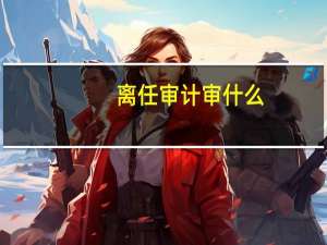 离任审计审什么