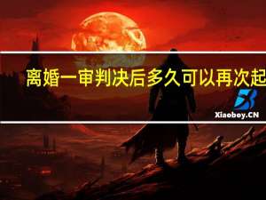 离婚一审判决后多久可以再次起诉