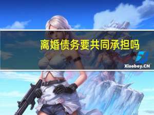 离婚债务要共同承担吗