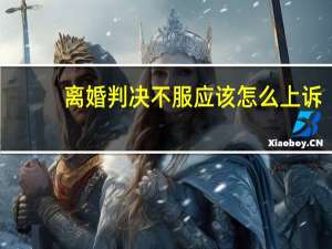 离婚判决不服应该怎么上诉