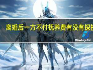 离婚后一方不付抚养费有没有探视权