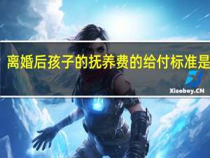 离婚后孩子的抚养费的给付标准是什么
