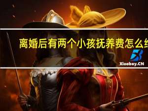 离婚后有两个小孩抚养费怎么给