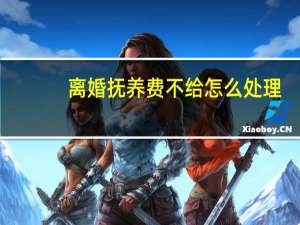 离婚抚养费不给怎么处理