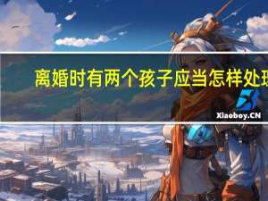 离婚时有两个孩子应当怎样处理