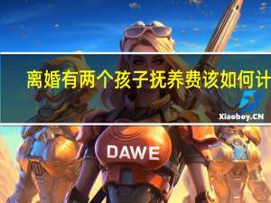 离婚有两个孩子抚养费该如何计算