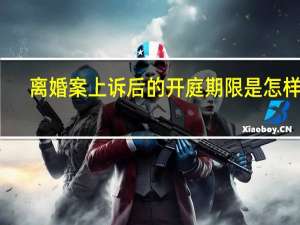 离婚案上诉后的开庭期限是怎样的