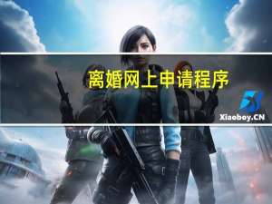 离婚网上申请程序
