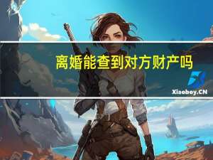 离婚能查到对方财产吗