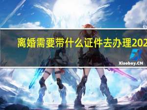 离婚需要带什么证件去办理2022（离婚需要带什么）