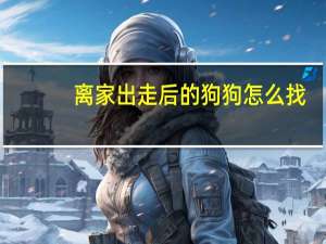 离家出走后的狗狗怎么找