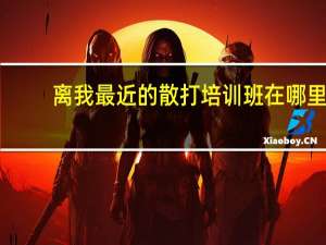 离我最近的散打培训班在哪里