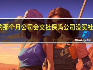离职的那个月公司会交社保吗　公司没买社保怎么赔偿