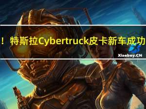 离谱！特斯拉Cybertruck皮卡新车成功拍卖：成交价近300万元