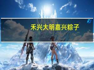 禾兴大明嘉兴粽子(鲜肉味)卡路里是多少