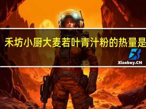 禾坊小厨 大麦若叶青汁粉的热量是多少