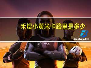 禾煜 小黄米卡路里是多少