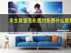 禾生陇亩无东西的东西什么意思