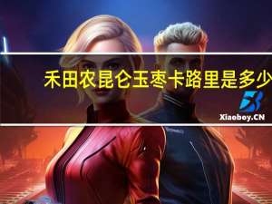 禾田农 昆仑玉枣卡路里是多少