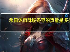 禾田沐雨 酥脆冬枣的热量是多少