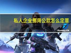 私人企业挪用公款怎么定罪